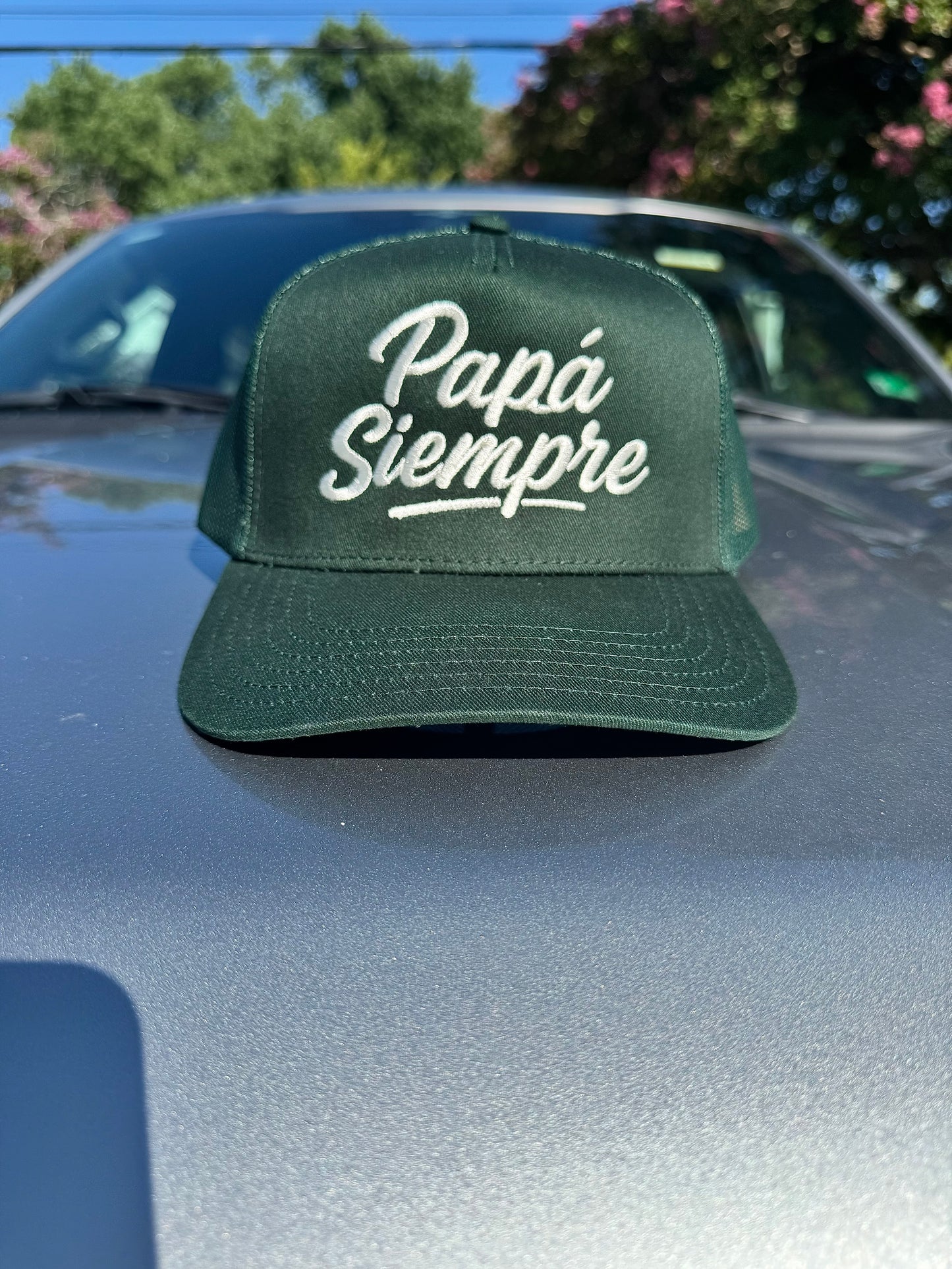 PAPÁ SIEMPRE Trucker Hat - Verde Monte